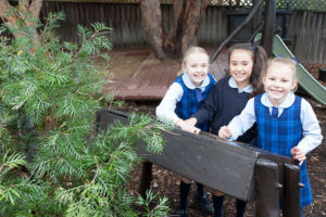 St Charles Catholic Primary School Ryde Playground